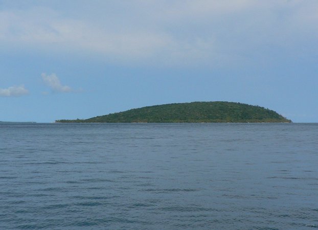 01- Pinos l'ile de la baleine 